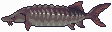 Sturgeon inventory icon